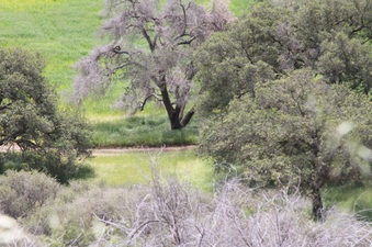 Enlarge photo 27