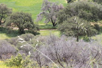 Enlarge photo 28