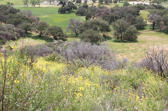 Enlarge photo 29