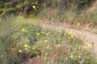 Enlarge photo 30