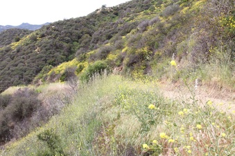 Enlarge photo 31