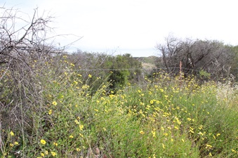 Enlarge photo 32