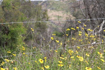 Enlarge photo 33