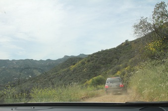 Enlarge photo 36