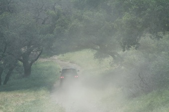 Enlarge photo 37