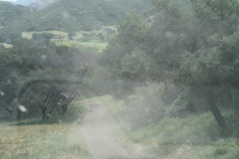 Enlarge photo 38