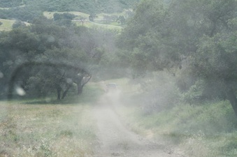 Enlarge photo 39