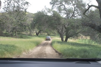 Enlarge photo 40
