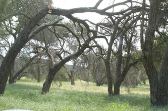 Enlarge photo 42