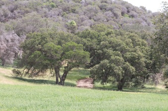 Enlarge photo 43
