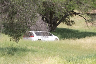 Enlarge photo 47