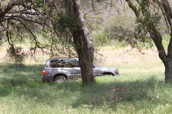 Enlarge photo 48