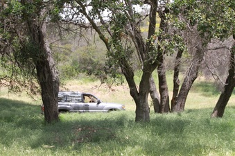 Enlarge photo 49