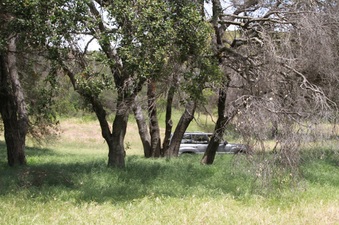 Enlarge photo 51