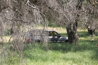 Enlarge photo 52