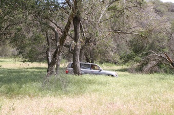 Enlarge photo 55