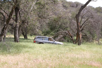 Enlarge photo 56