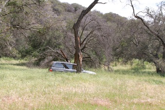 Enlarge photo 57
