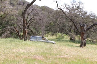 Enlarge photo 58