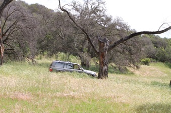 Enlarge photo 59