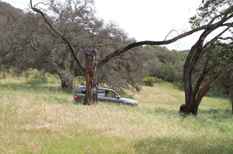 Enlarge photo 60