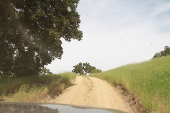 Enlarge photo 64