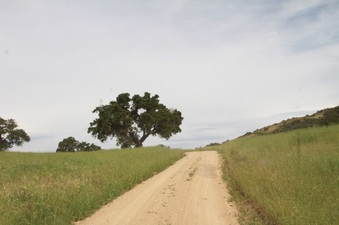 Enlarge photo 65