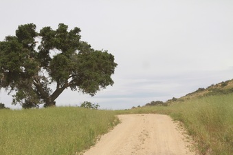 Enlarge photo 66