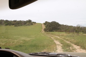 Enlarge photo 67