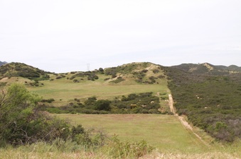 Enlarge photo 68