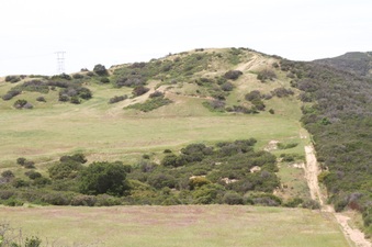 Enlarge photo 69