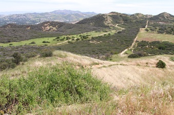 Enlarge photo 70