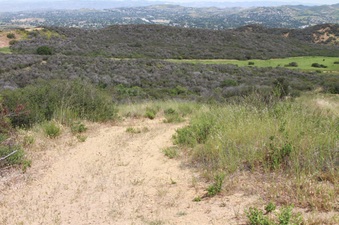 Enlarge photo 71