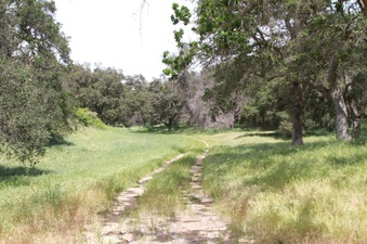 Enlarge photo 87