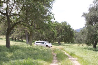 Enlarge photo 91
