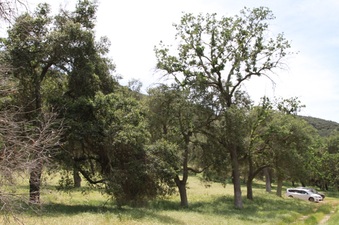 Enlarge photo 94