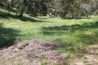 Enlarge photo 96