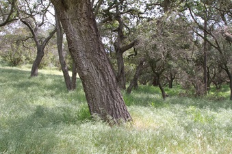 Enlarge photo 97