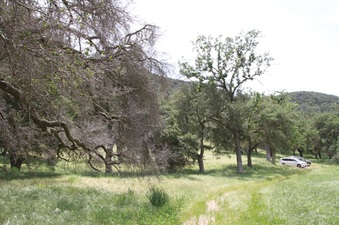 Enlarge photo 98