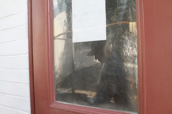 Enlarge photo 11