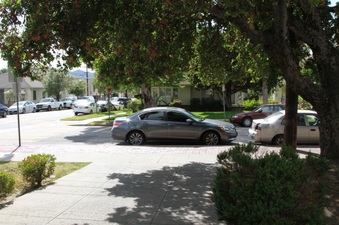 Enlarge photo 67