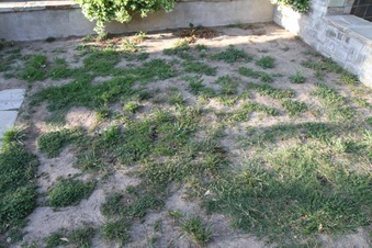 Enlarge photo 85