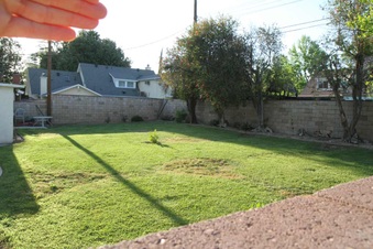 Enlarge photo 86