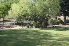 Enlarge photo 24