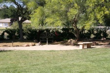Enlarge photo 25