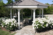 Enlarge photo 27
