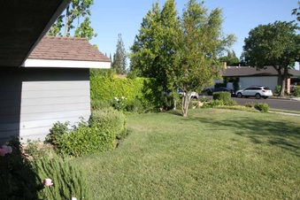 Enlarge photo 31