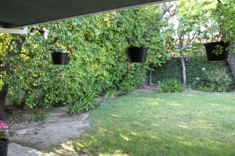 Enlarge photo 37