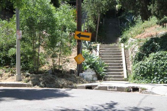 Steps-Bushnell