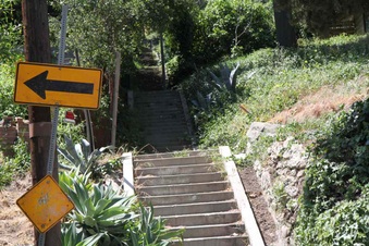 Enlarge photo 14